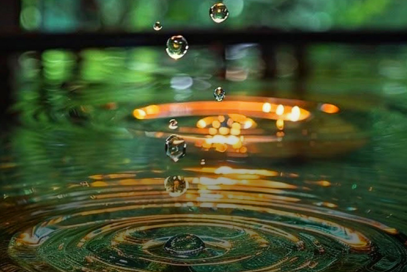 Vietnamese Cultural Weeks 2025